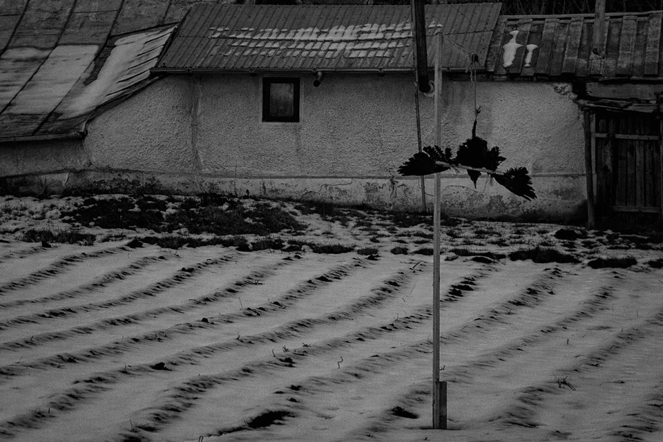 12552664_1086704924696023_586219911279640141_n