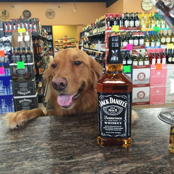 these-animals-know-how-to-party-26-photos-8