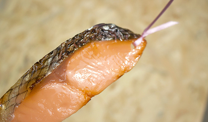 Яйца на очи, бекон и още храни като разделители за книги (СНИМКИ)