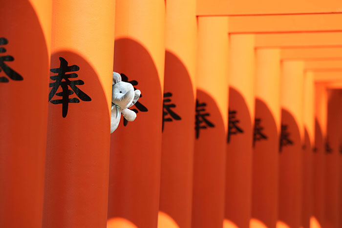 lost-toy-travel-world-photoshop-battle-32-577a422498534__700