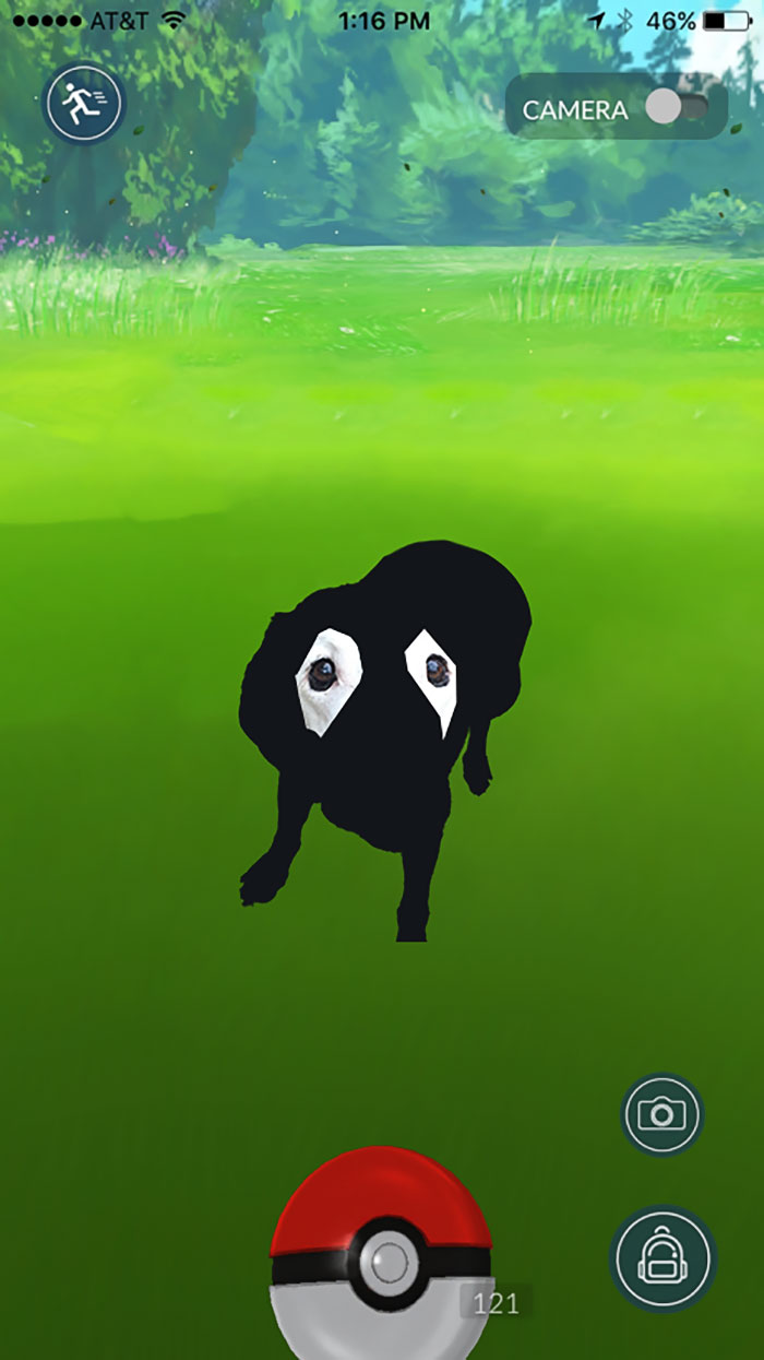 dog-vitiligo-black-labrador-photoshop-battle-2-57a0901a56c60__700