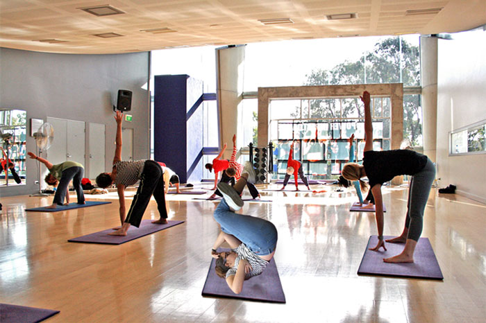 girl-falls-asleep-chair-university-library-photoshop-battle-1-57bd9b72d6c09__700