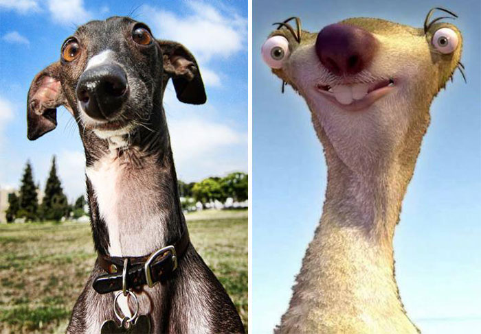 cartoon-real-life-lookalikes-13-57d69912a79af__700