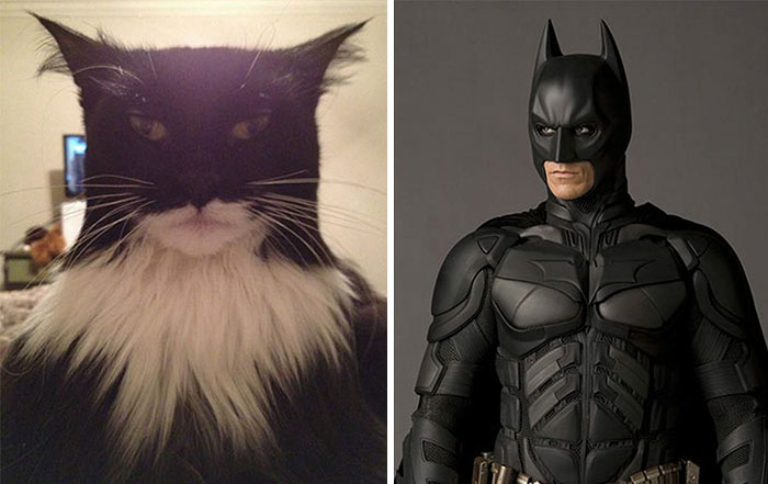 cartoon-real-life-lookalikes-15-57d69918301d6__700