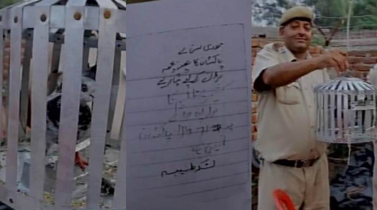 Арестуваха пощенски гълъб, пренасящ писмо със заплахи срещу индийския премиер