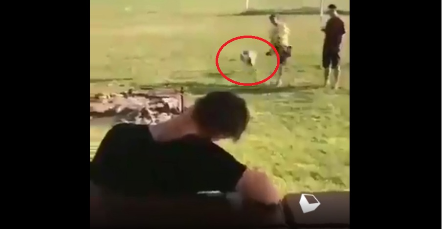 ВИДЕО: Когато си заспал твърде дълбоко