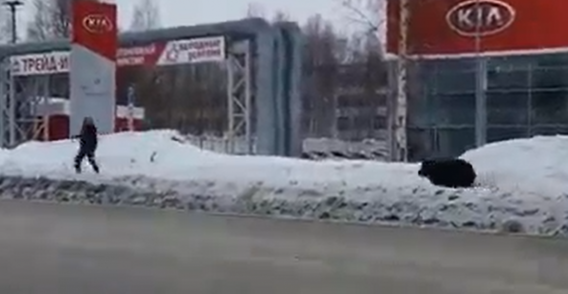 Само в Русия: Мечка гони мъж по градска улица (ВИДЕО)
